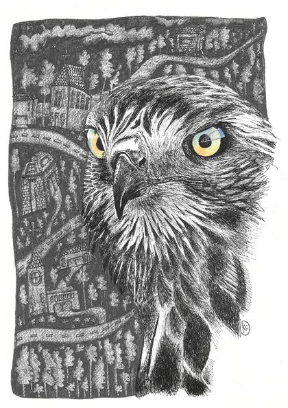 "Night Hawk" Fine Art Print